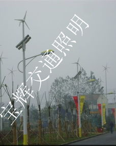 厂家供应海南省三亚市8米42w风光互补太阳能路灯产品图片高清大图
