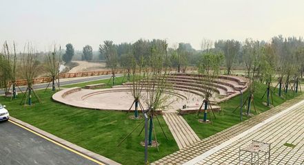 响应国家战略 弘扬黄河文化|奥雅设计签约郑州黄河滩湿地公园EPC项目